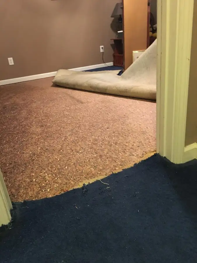 Carpet pad removal revealing water damage during Water Mitigation Services in Blaine