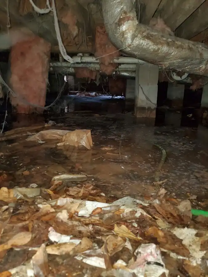 Crawl space flood assessment for Commercial Water Damage Restoration in Blaine