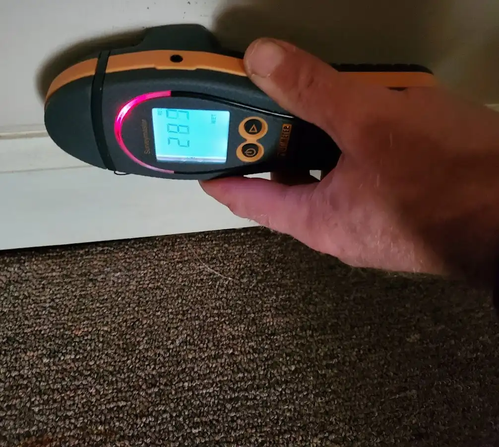 Moisture detection at baseboard during Sewage Cleanup & Sanitation in Blaine